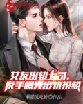 女友出轨上司,反手曝光出轨视频 在线阅读